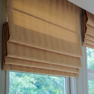 Roman Panel Blinds