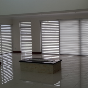 Vision Blinds